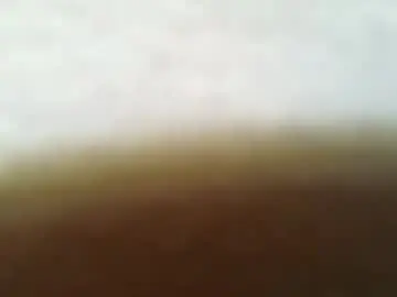 Chaturbate Free Porn Cam of tallwxguy