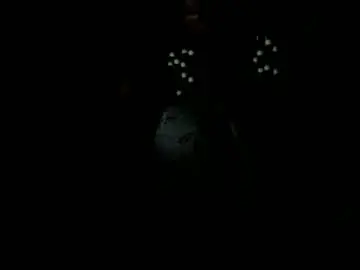 Chaturbate Live Sex of sexiestpunani