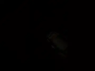 Chaturbate Best Webcam of ivybooty206
