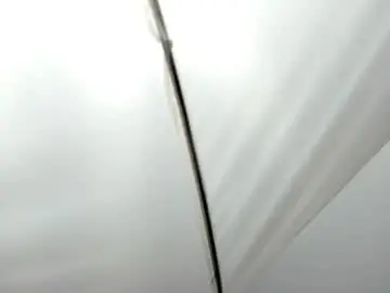 Chaturbate Best Webcam of leissybrooks