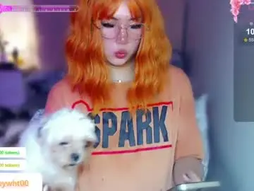 Chaturbate Adult Webcam of koreandollts