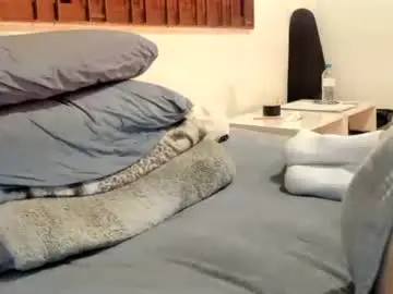 Chaturbate Free Porn Cam of moderdelier
