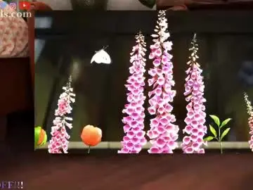 Chaturbate Live Sex Cam of serareads