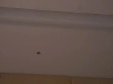 Chaturbate Live Sex Cam of taitehambelton
