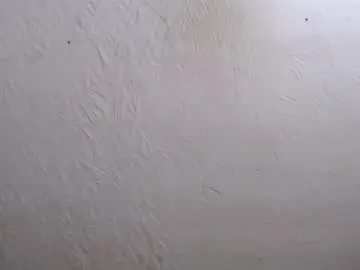 Chaturbate Watch Live Sex Cams of nensyfay_