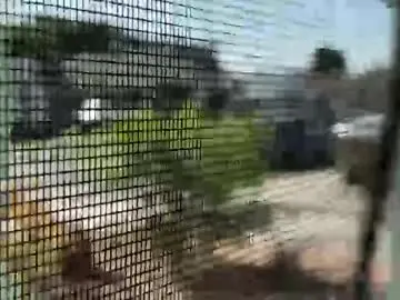 Chaturbate Private Sex Chat of willirob