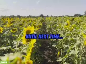 Chaturbate Best Webcam of sunflower0907