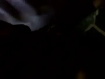 Chaturbate Adult Video Chat of transcendental_tara
