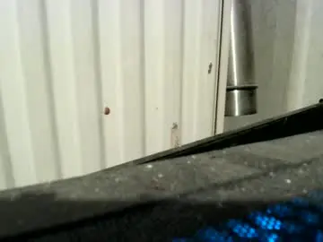 Chaturbate Sex Chat of ynghotgerman92