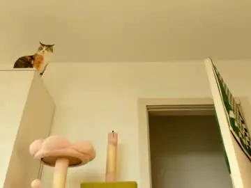 Chaturbate Watch Live Sex Cams of thisisamelia