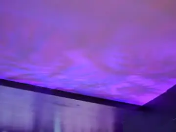 Chaturbate Free Porn Cam of hotbustybabex