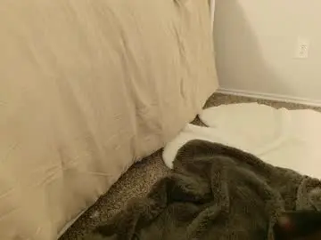 Chaturbate Best live sex cam show of elisparadisex
