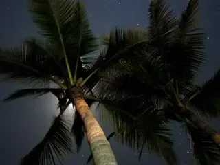 Streamate Adult Webcams of Aaron110011