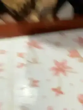 Stripchat Best live sex cam show of LINDA_HD