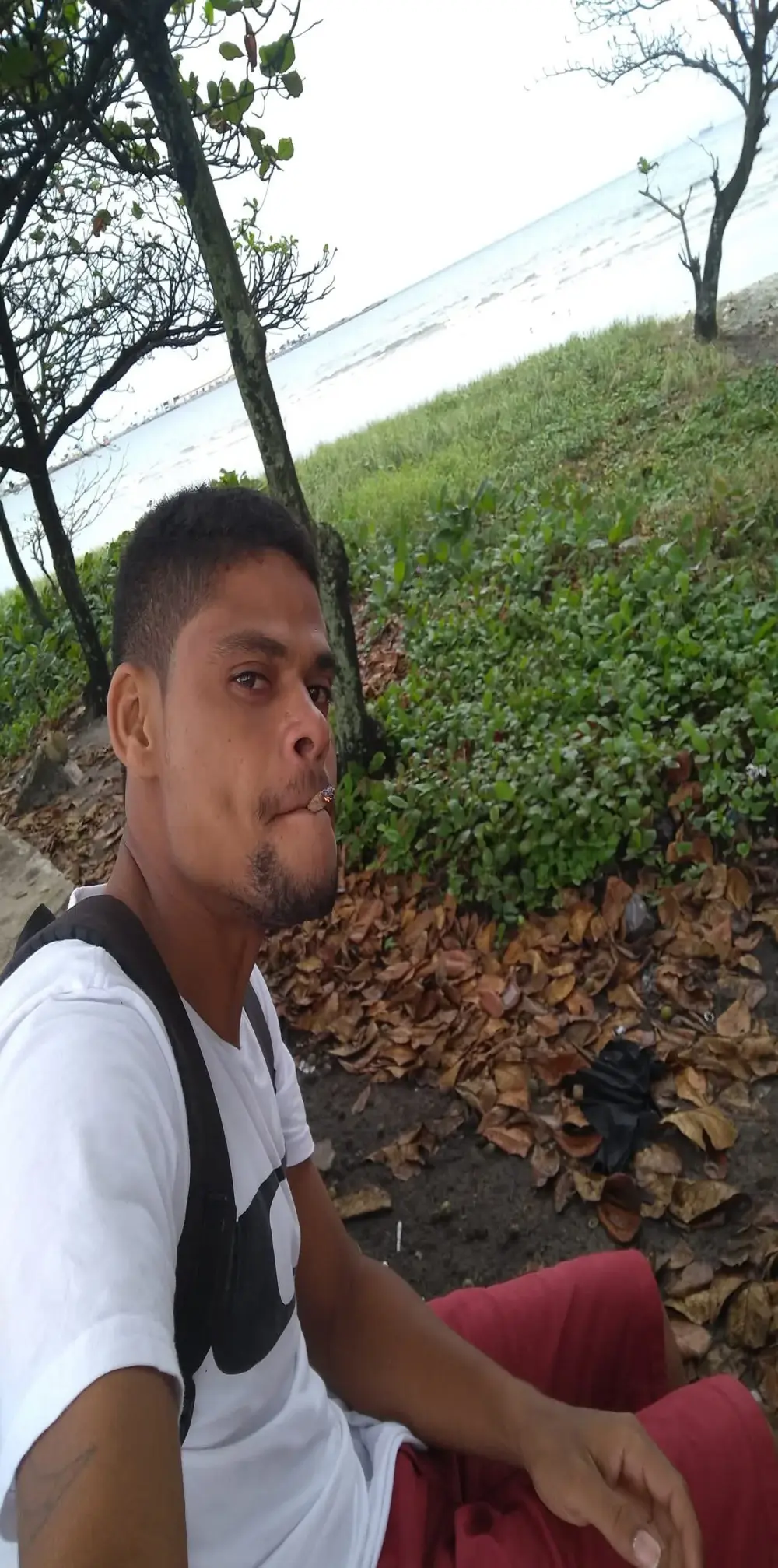 Adrianofei