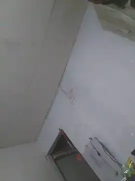Stripchat Sex Cam of cobrosdepagos