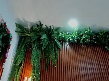 Stripchat Best live sex cam show of alice_greco