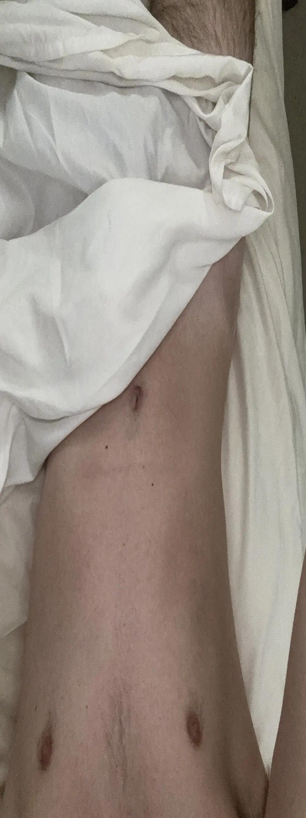 dylanwolf01