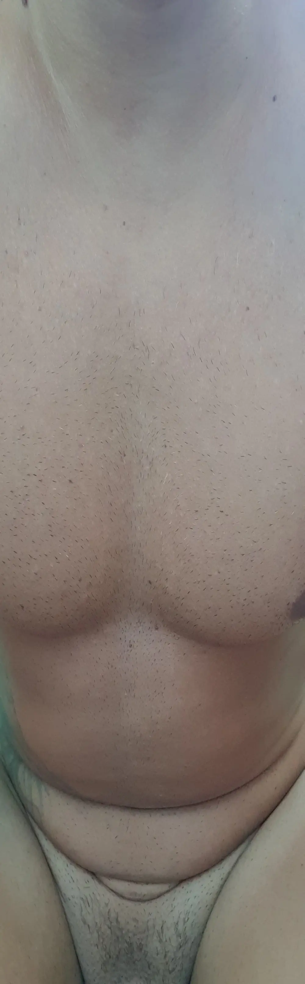 casalexibicao23