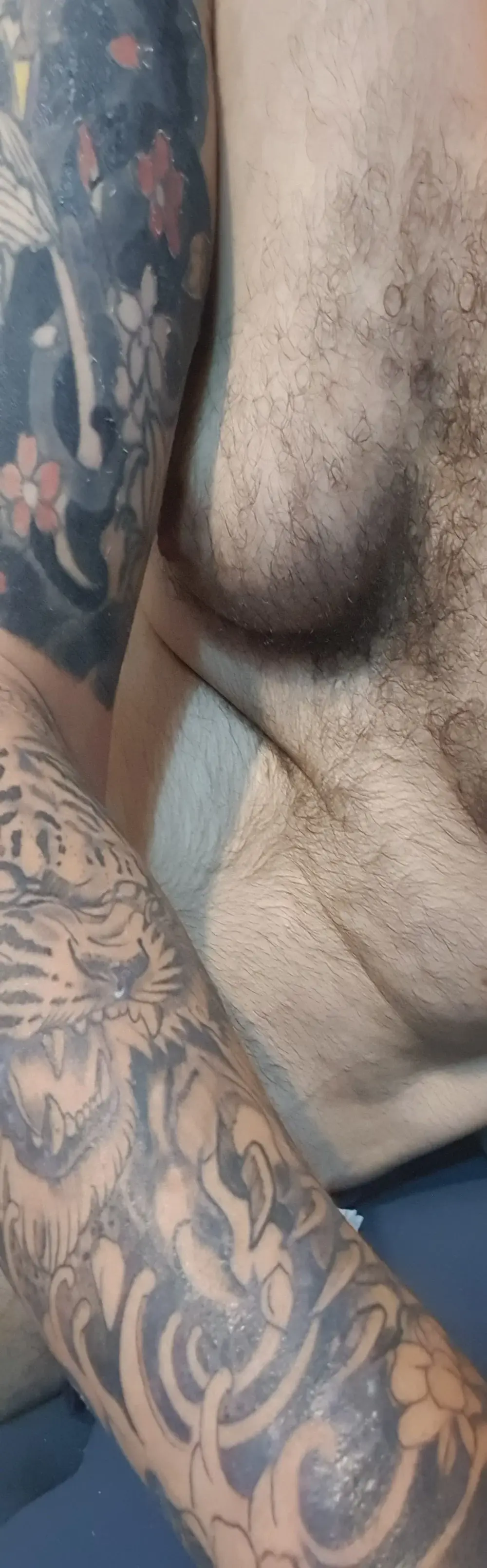 BarbudoSP35