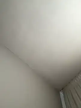 Stripchat Sex Cam of cans7333