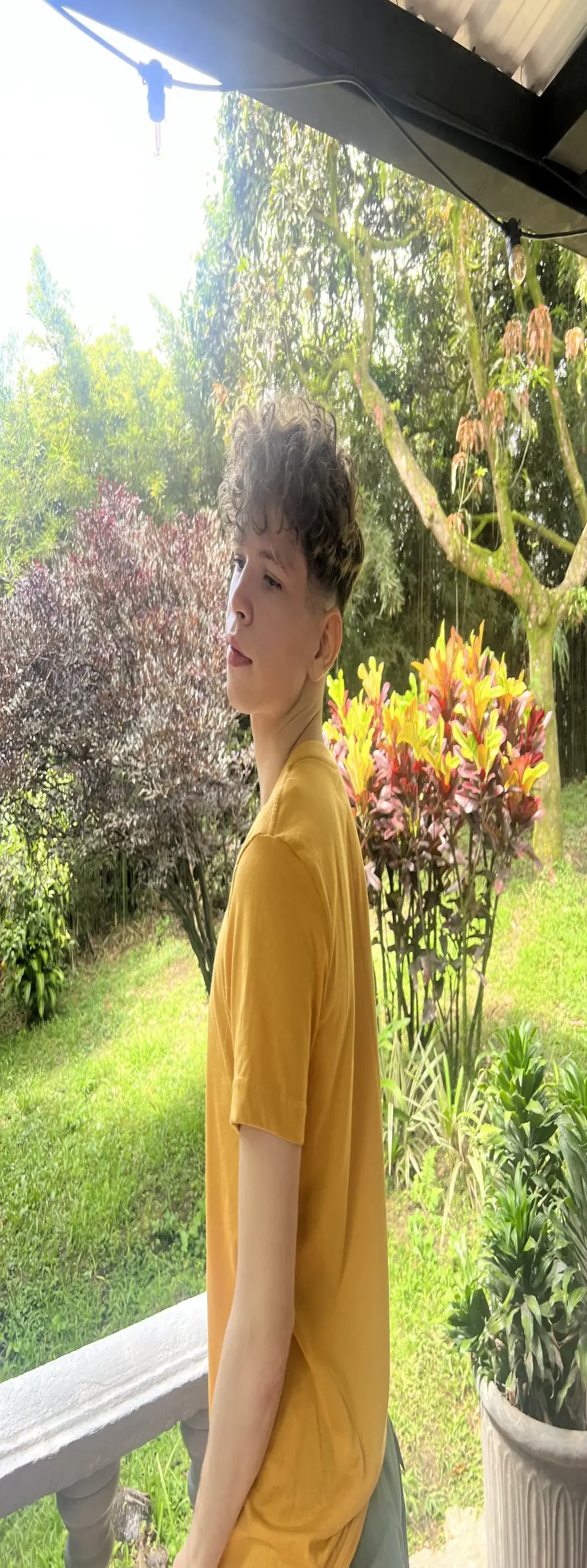 melo_prin