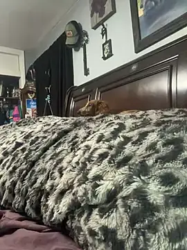 Stripchat Free Live Porn of sweetkacibaby