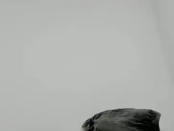 Stripchat Free Porn Cam of Sarah_sumemers