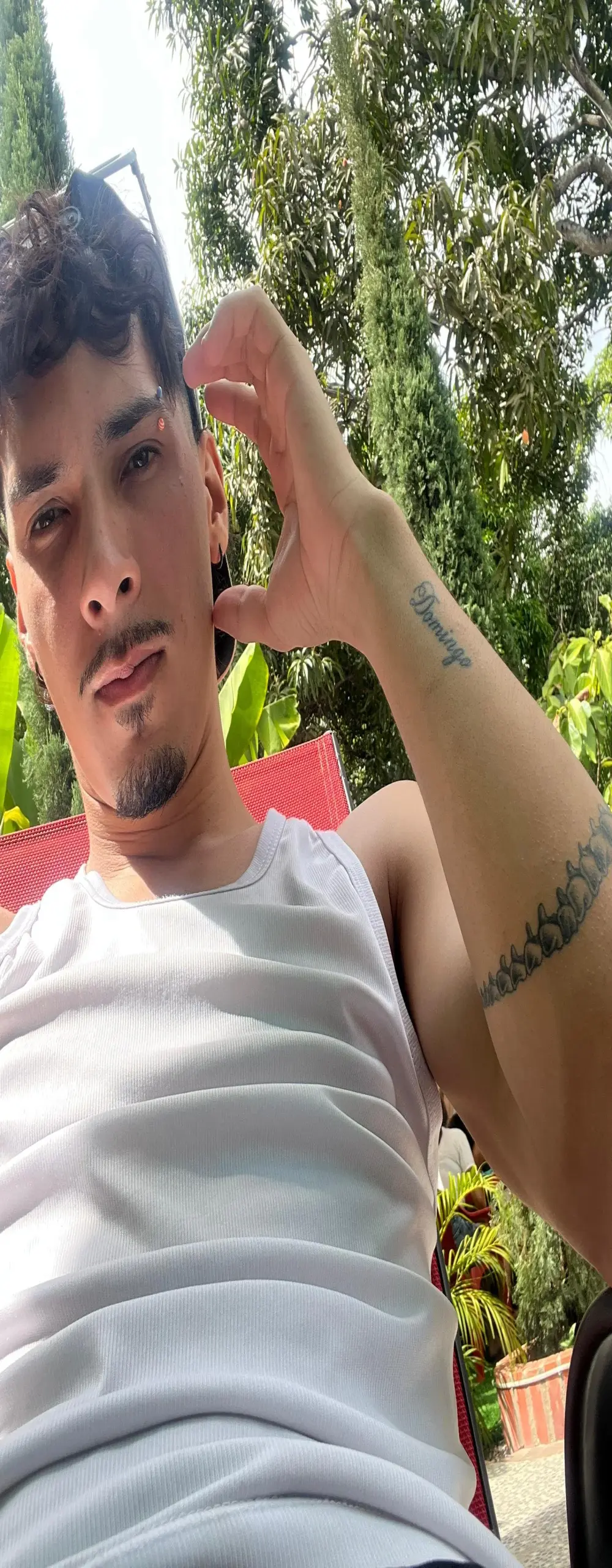 Yankees_xxx