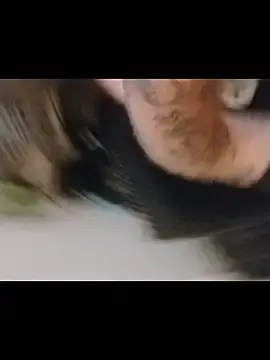 Stripchat Sex Cam of jarjar83