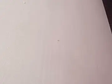 Stripchat Private Sex Chat of kissme_luna