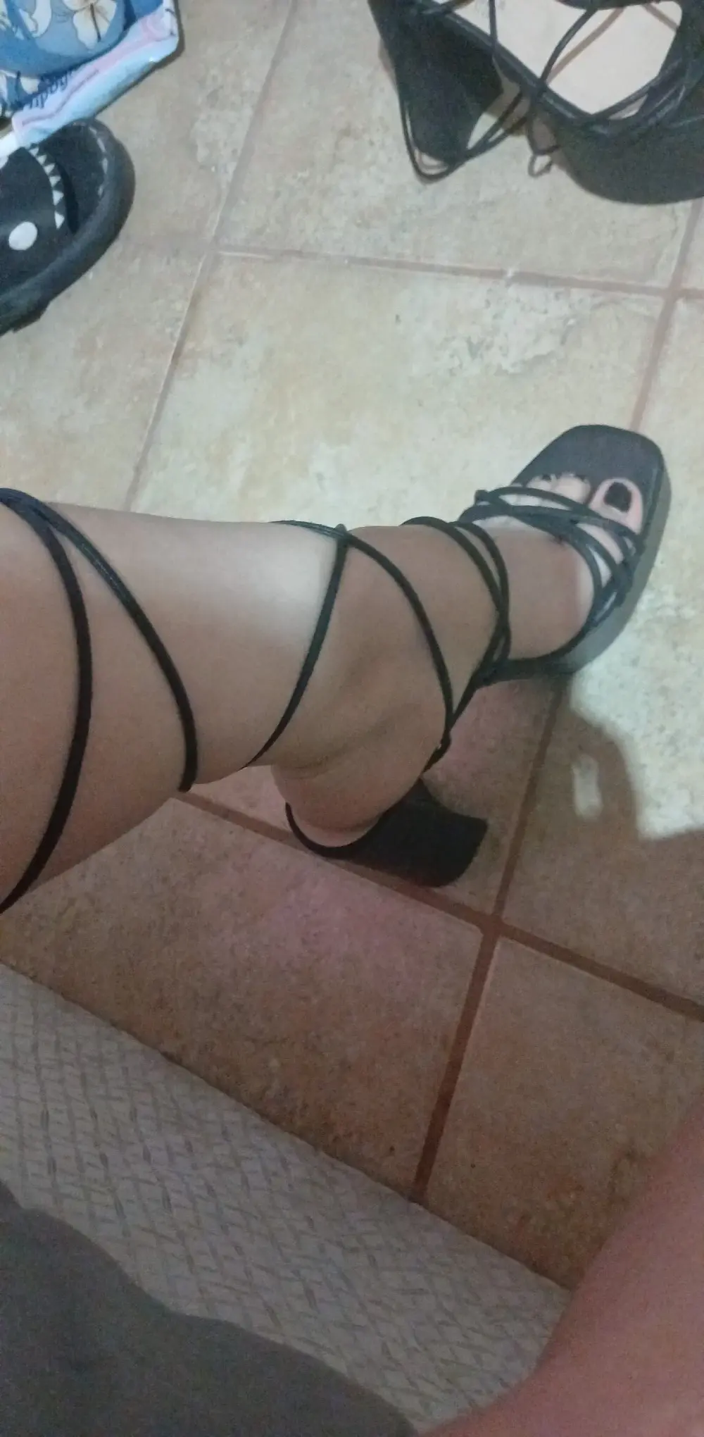 Shagui_y_bulma