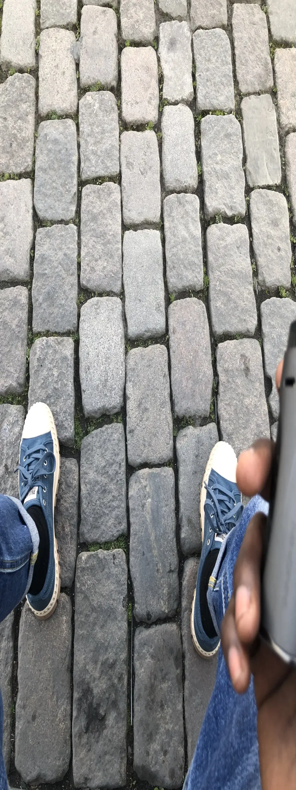segbemal